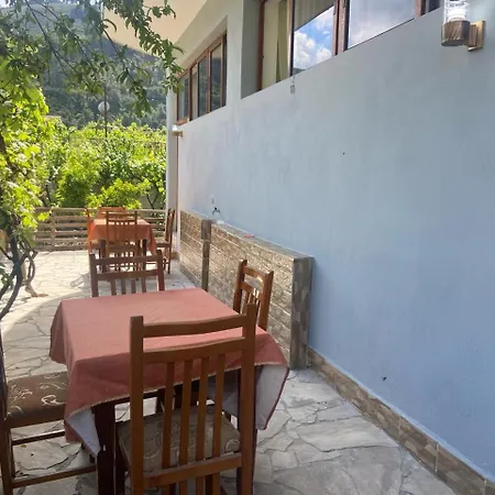 Guest house Seli *