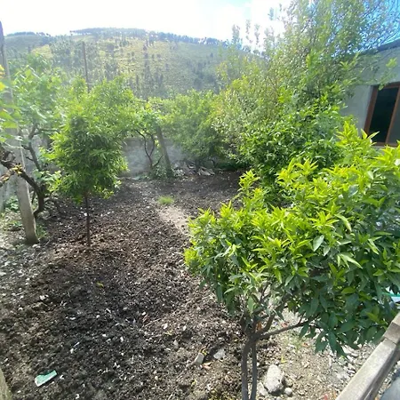 Guest house Seli *