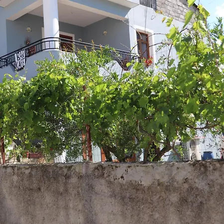 Seli Guest house