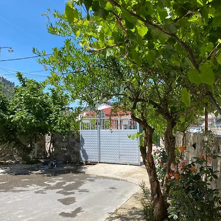 Seli Πανσιόν 3*